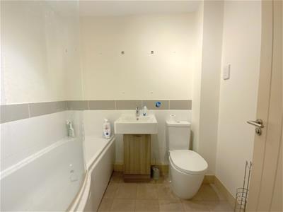 Picture 11